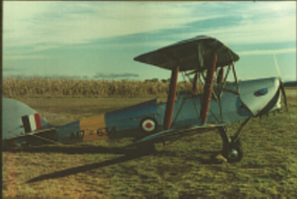 Tiger Moth